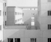 Facoltà di Medicina – Dettaglio delle corti e dei patii interni